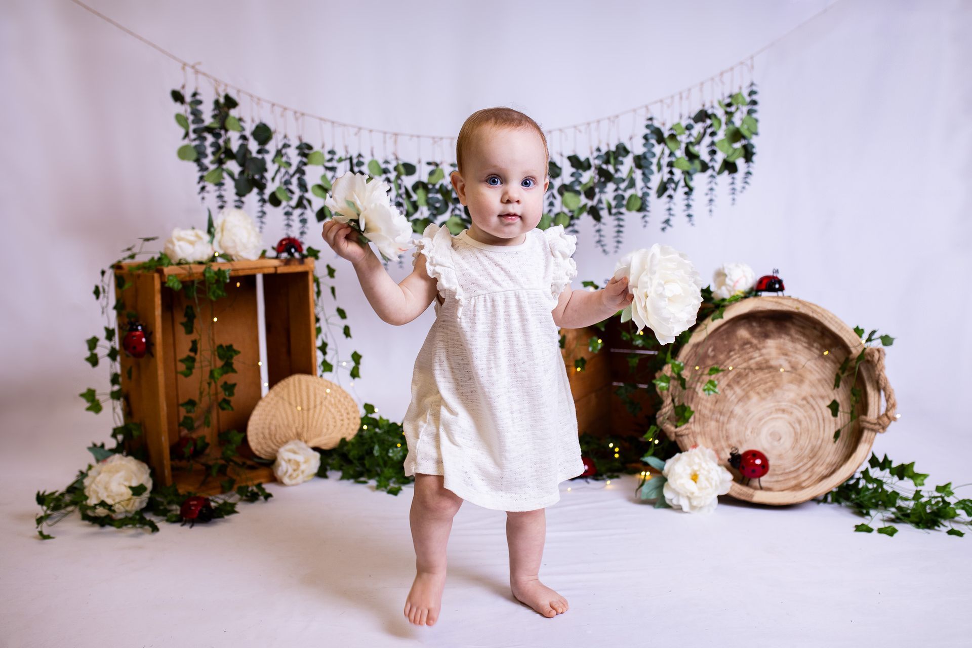 Baby posing on white background for ladybug themed cake smash session