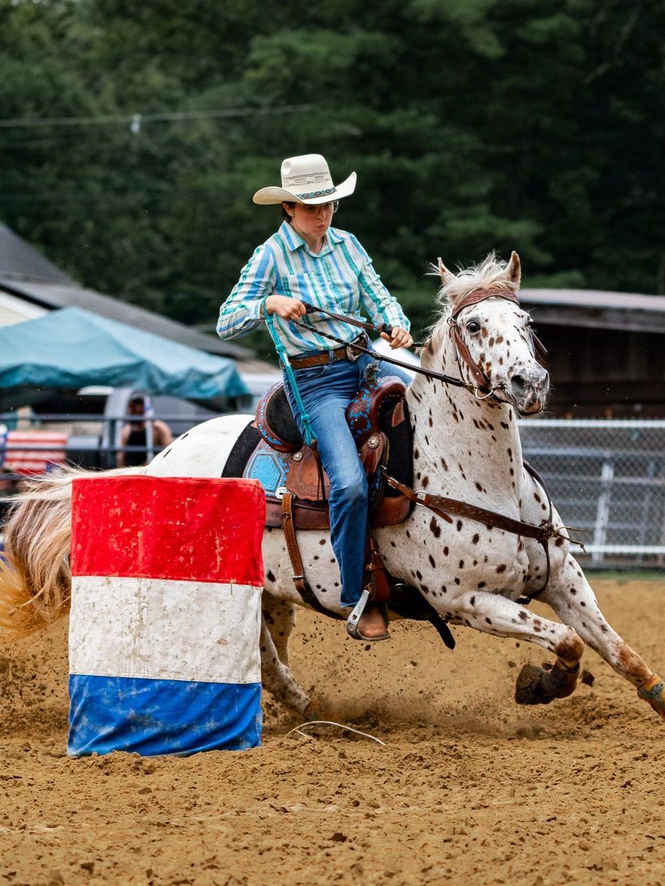 equestrian photography  woman riding a brown spotted and white horse during barrel racing