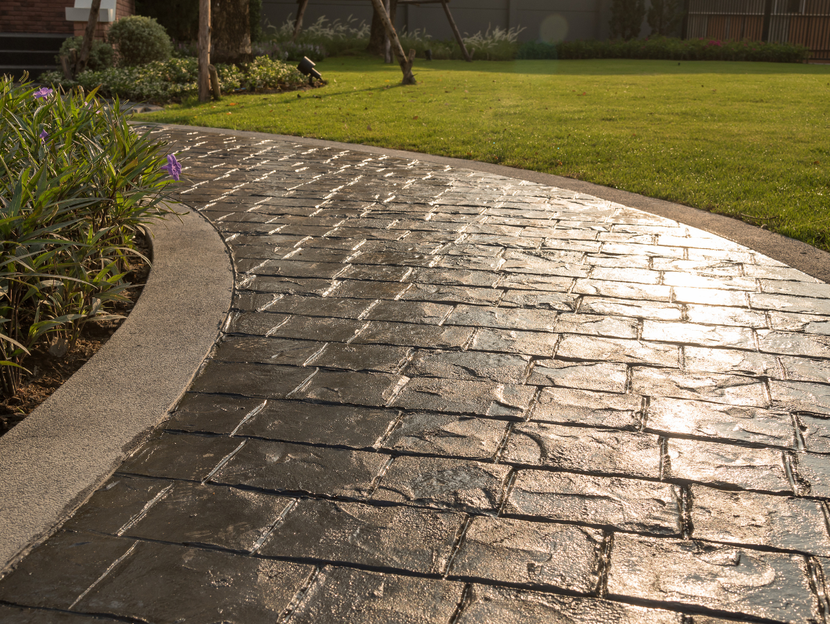 Curved wet stone walkway beside grass and garden plants in sunlight
