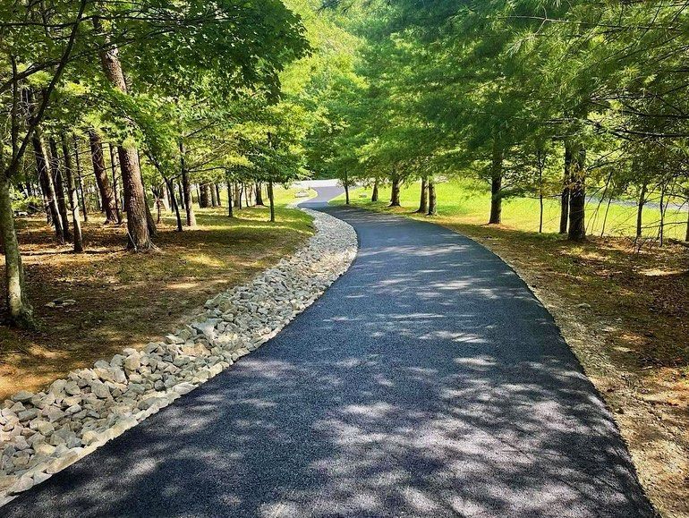 Asphalt path winding through a tree-lined park with a stone border on one side, sunny day.