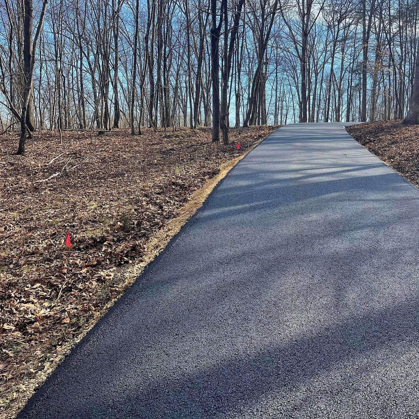 Asphalt path winds uphill through a bare tree forest on a sunny day.
