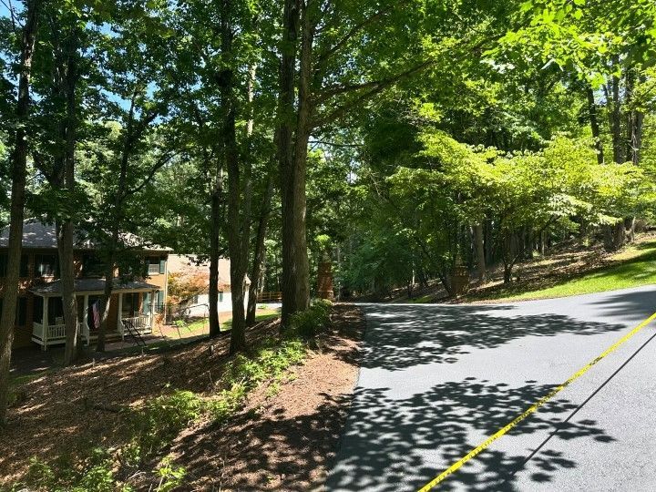 Paved road curves through a tree-lined residential area with houses visible on the left.