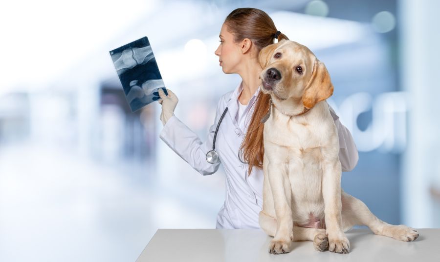Ortopedia e radiologia