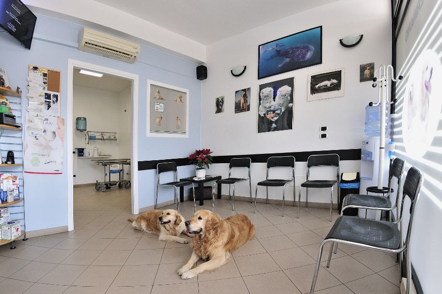 Sala d'aspetto