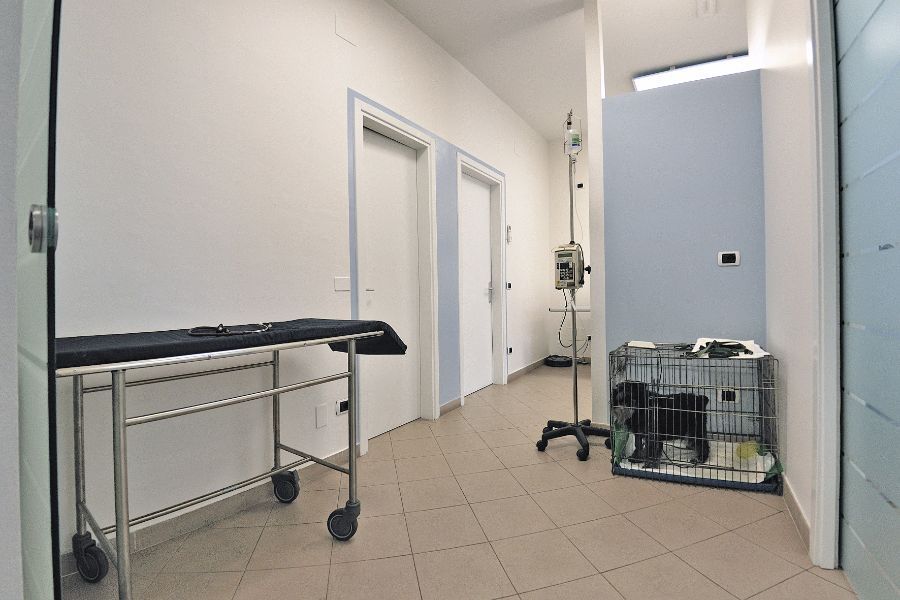 Ambulatorio veterinario