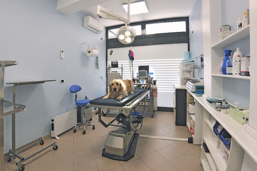 Sala per le visite