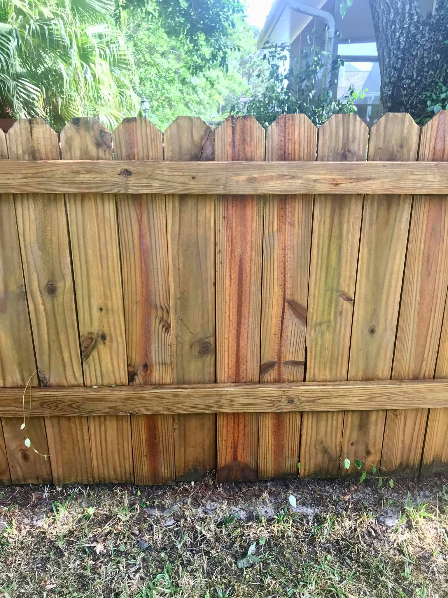 Wooden fence, weathered and scalloped at the top, bordering a grassy area.
