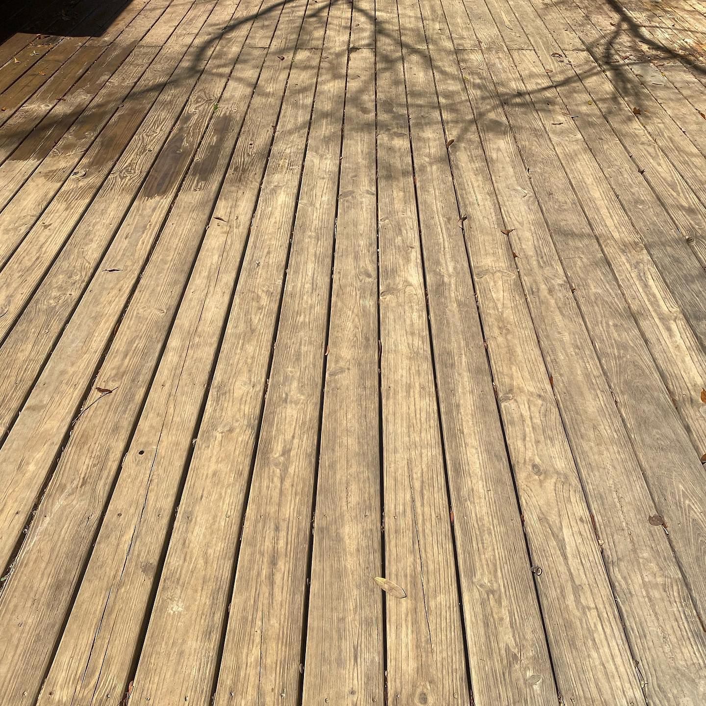 Wooden deck with tree shadow.