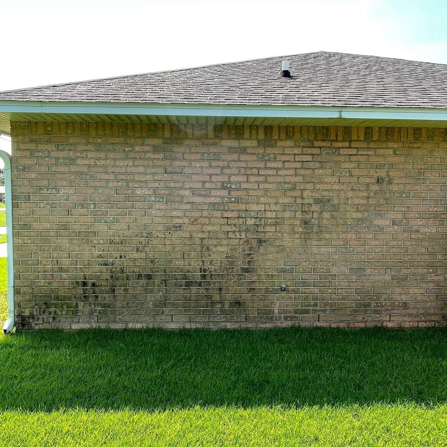 Brick wall of a building with visible algae growth near the ground, under a dark roof. Green grass in foreground.