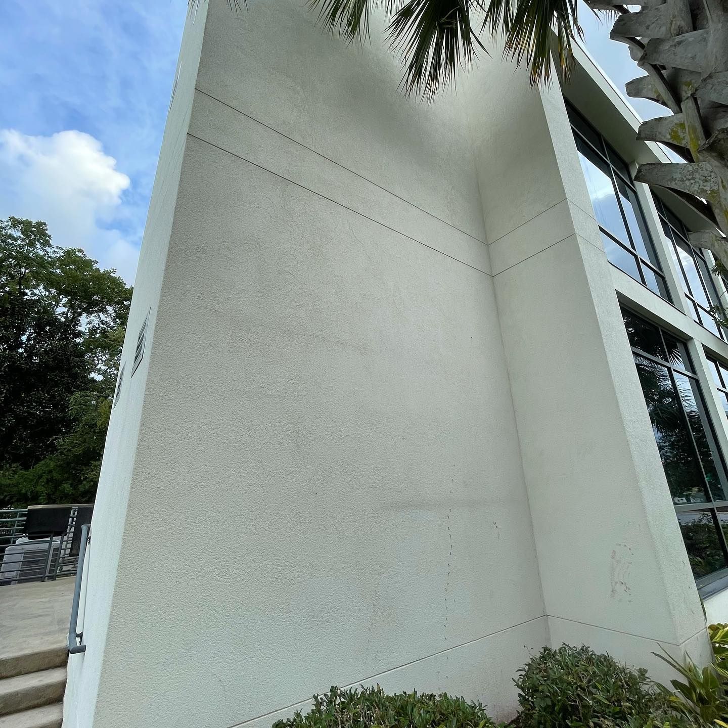 White building exterior with windows, palm fronds, and shrubs, against a cloudy sky.