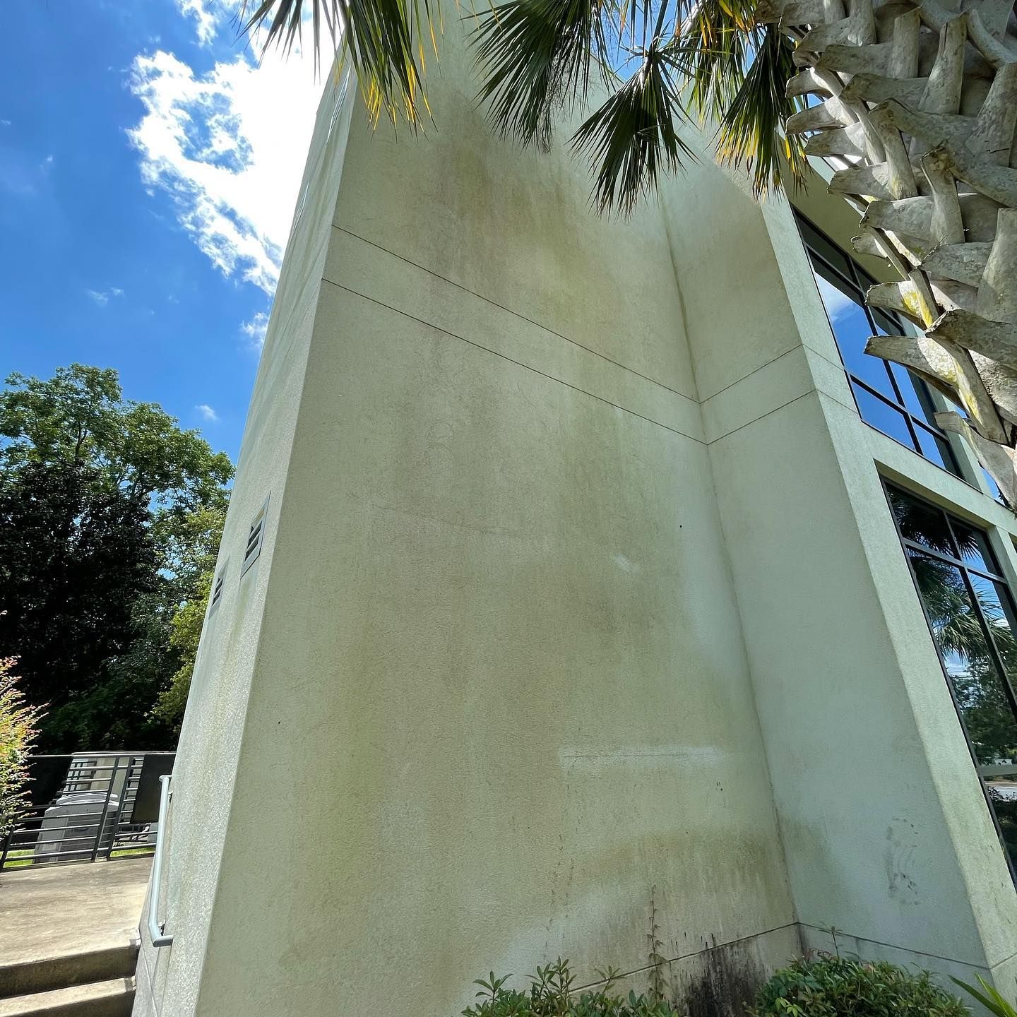 Off-white building exterior with green algae growth and tall windows, against a blue sky with trees.