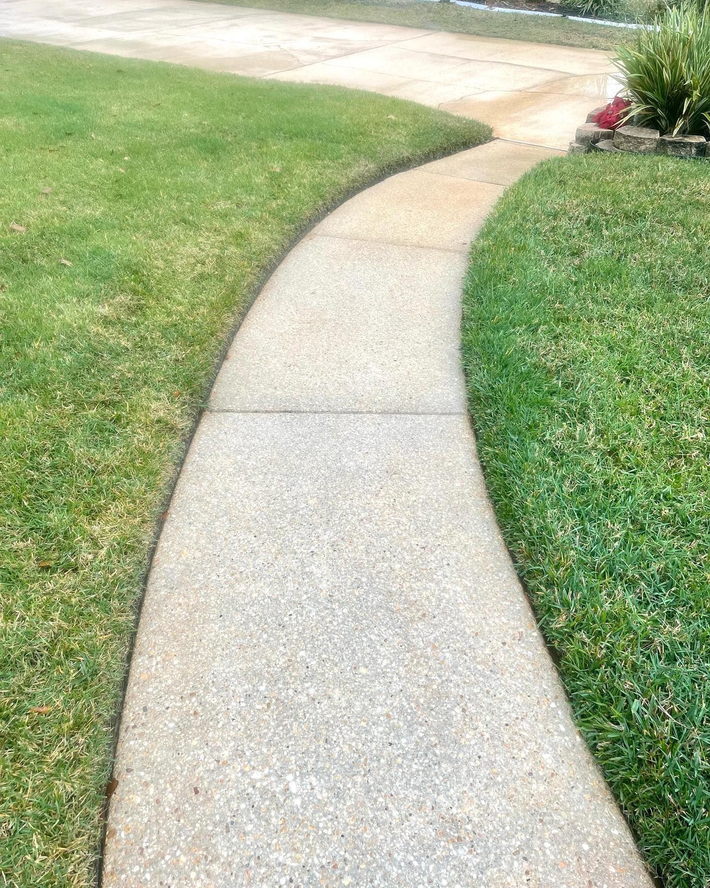 Curving concrete walkway bordered by green grass.