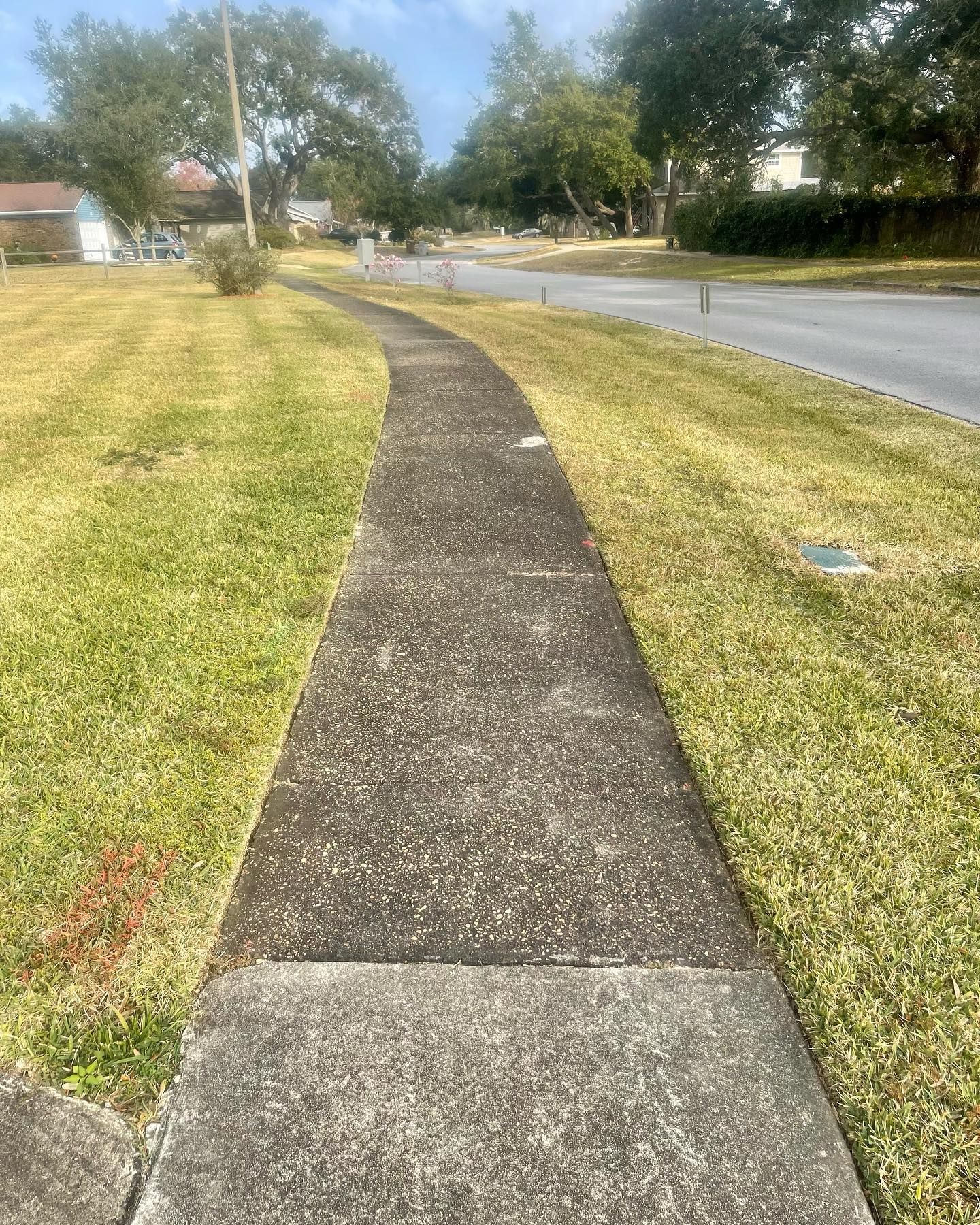 Concrete sidewalk curves along a grassy area next to a street.