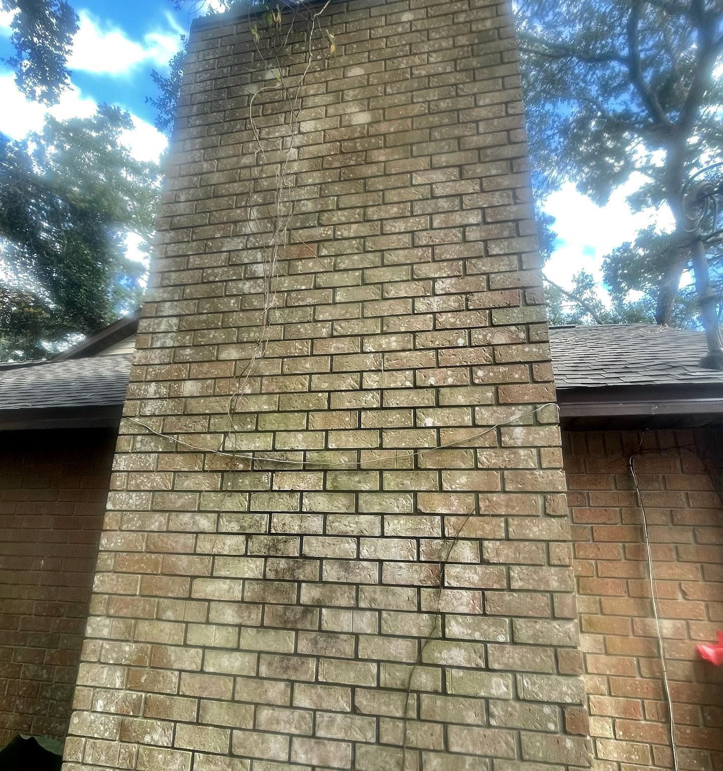 Tall brick chimney with moss and algae on the exterior, set against a blue sky with tree branches.