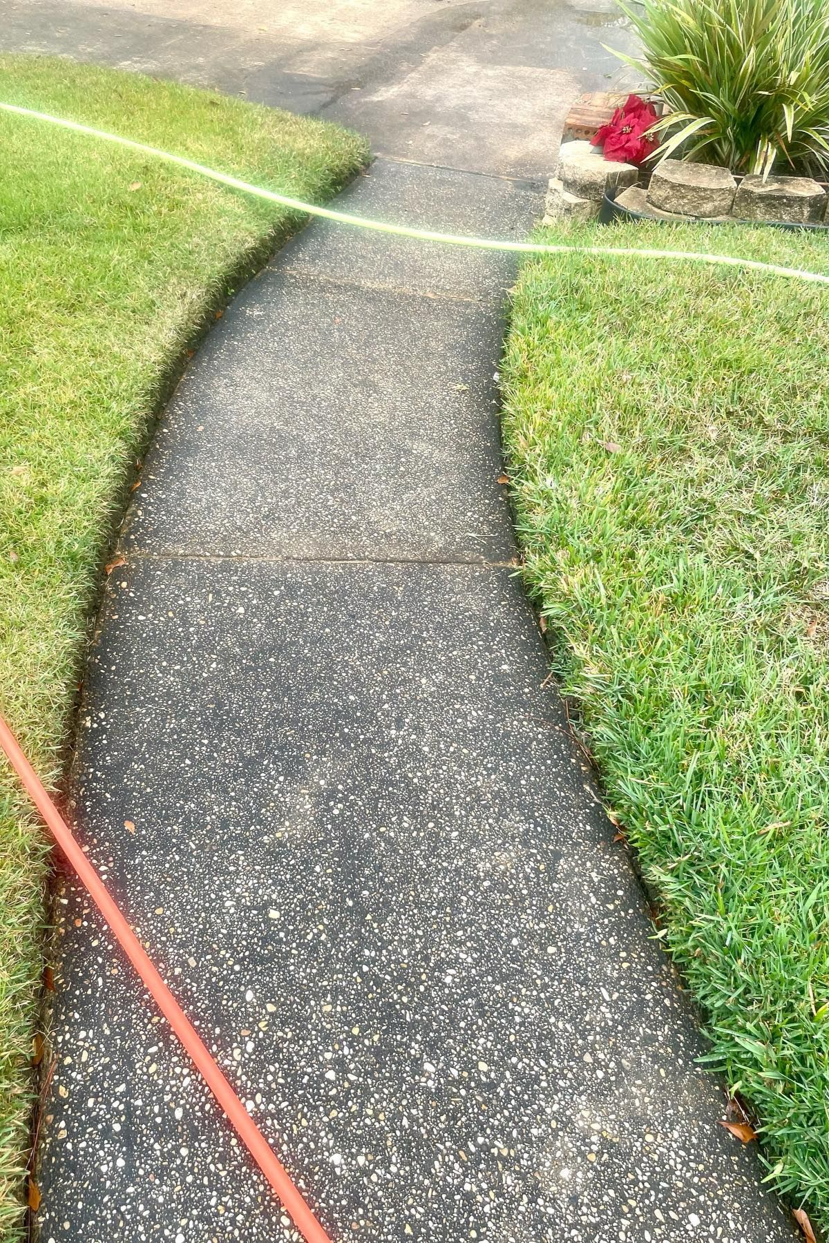 A curving concrete walkway bordered by green grass and a flower bed. A red and a green hose are visible.