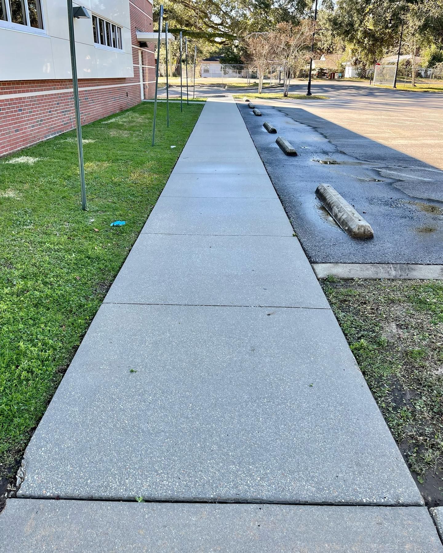 Sidewalk next to a building and parking area. Concrete sidewalk is bordered by grass and parking space.