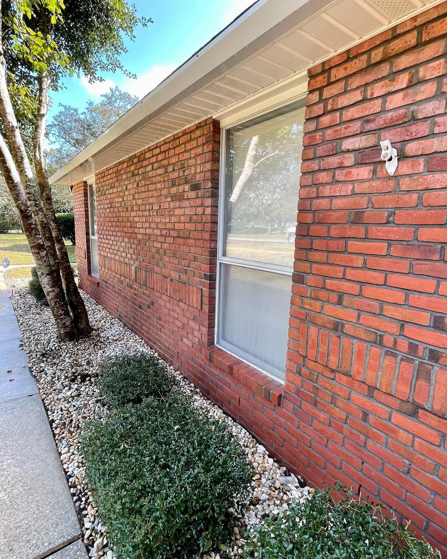 Brick house exterior with a window, white trim, and small bushes.