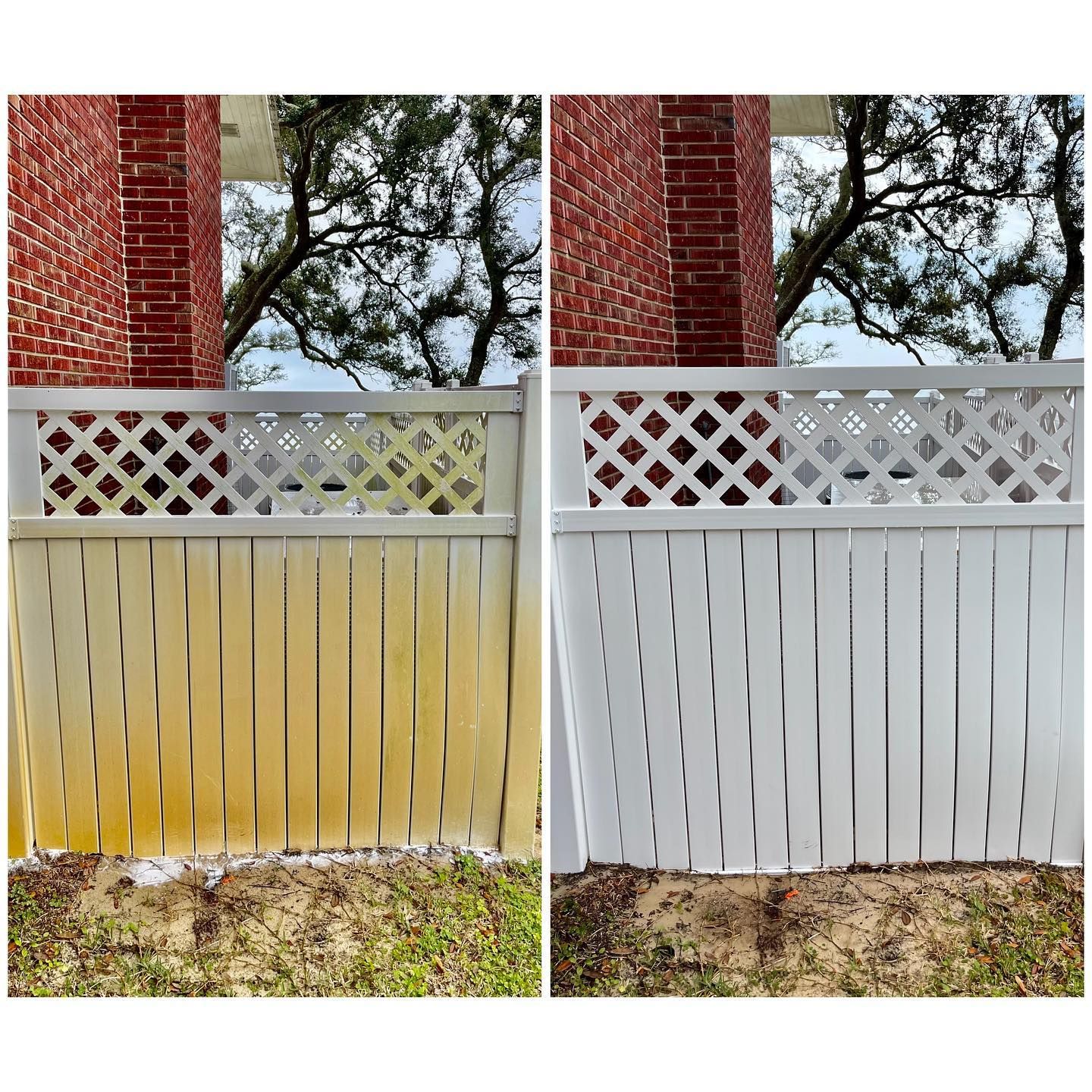 Comparison of before and after cleaning of a white fence: left side shows a yellowed fence, right side is clean.