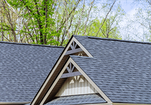 Gray shingled house roof with triangular gables and trees in the background