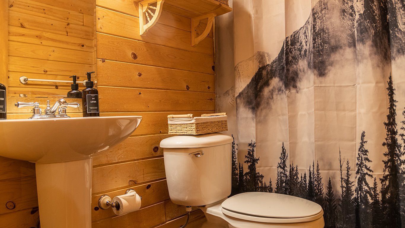 Bathroom with wood paneling, a white pedestal sink, toilet, and a mountain-themed shower curtain.