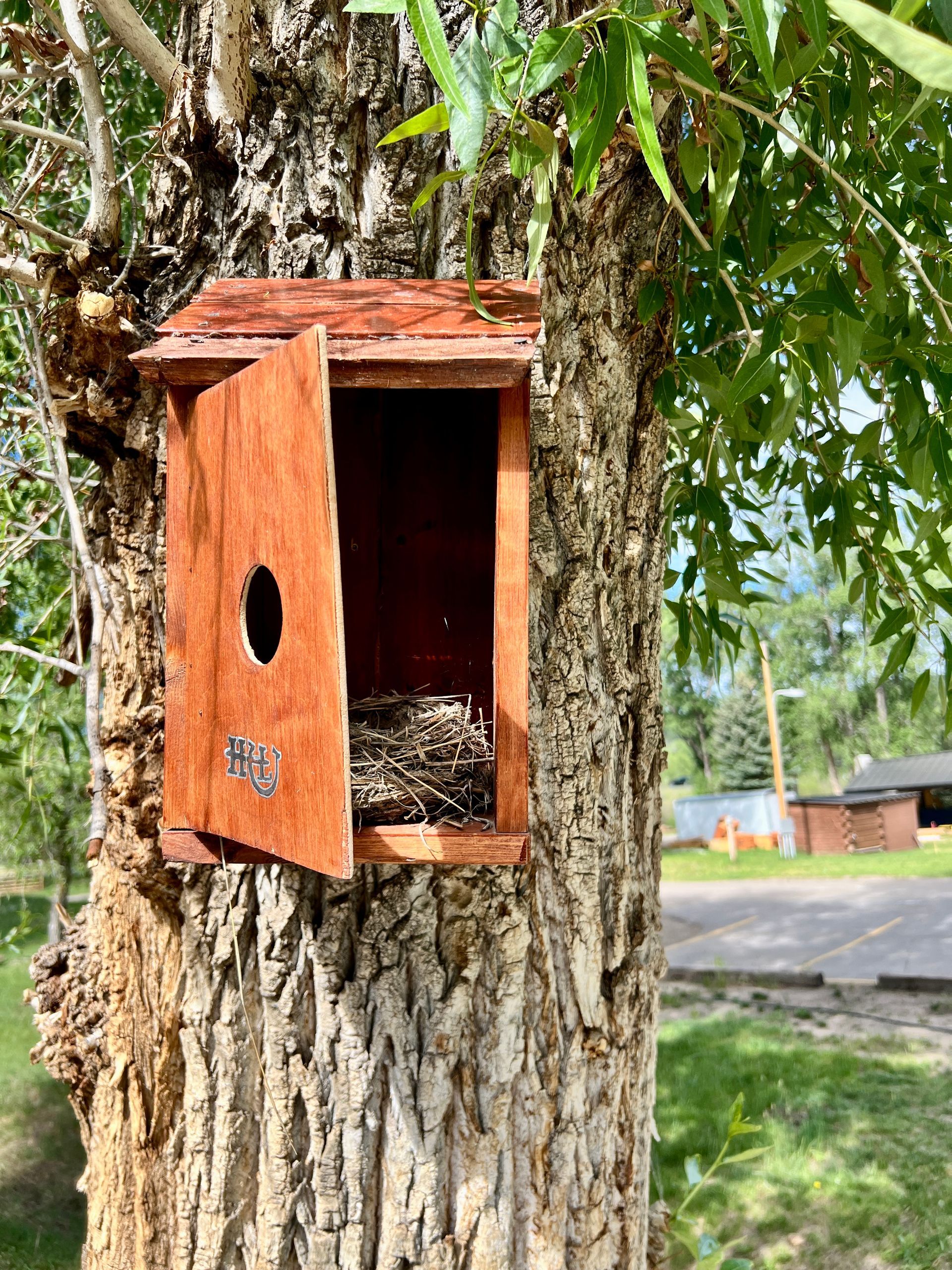 Wooden birdhouse with an open door attached to a tree trunk, nest inside.