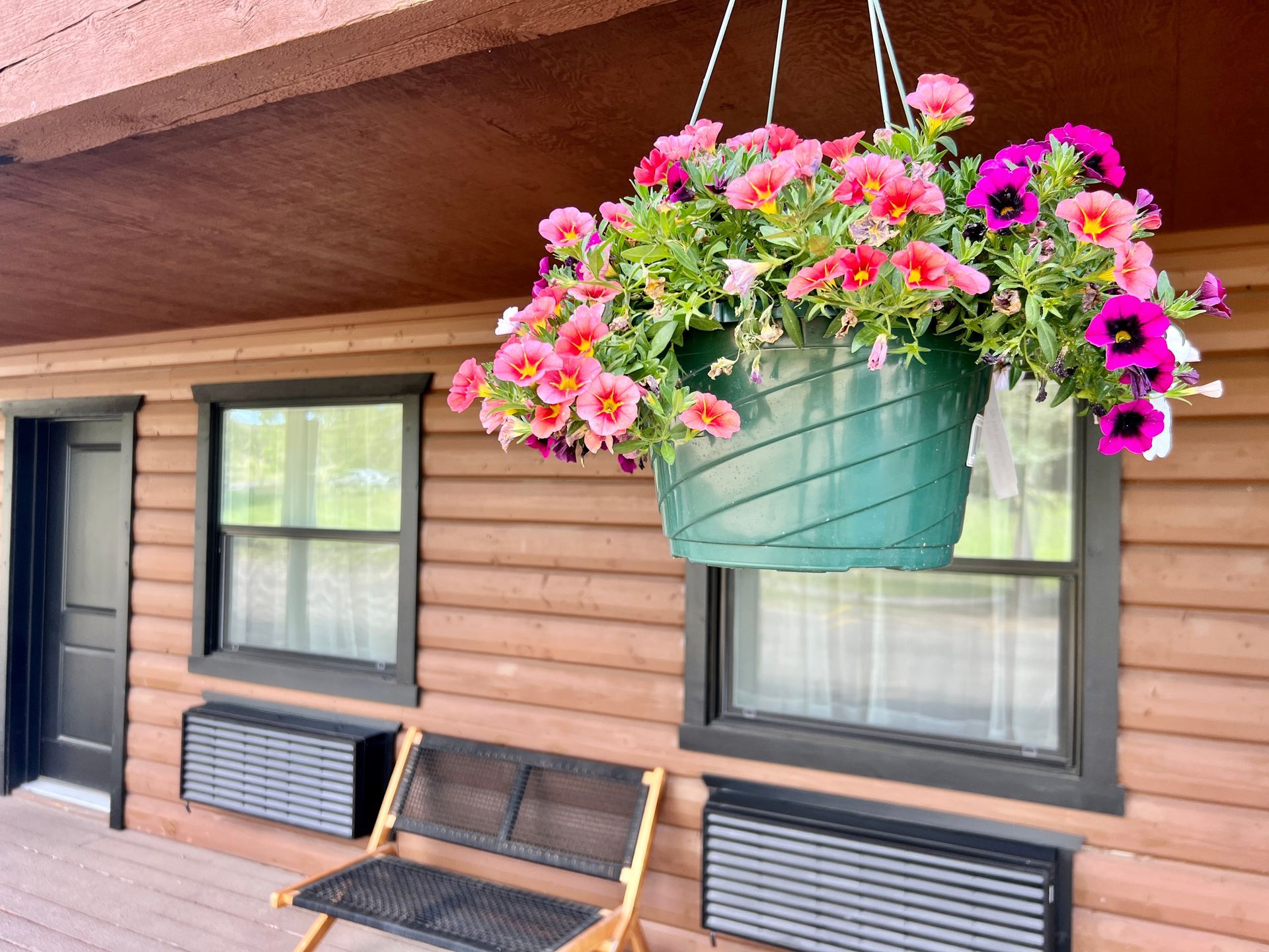 Hanging flower basket with pink and purple blooms on a log cabin porch, over a bench and windows.