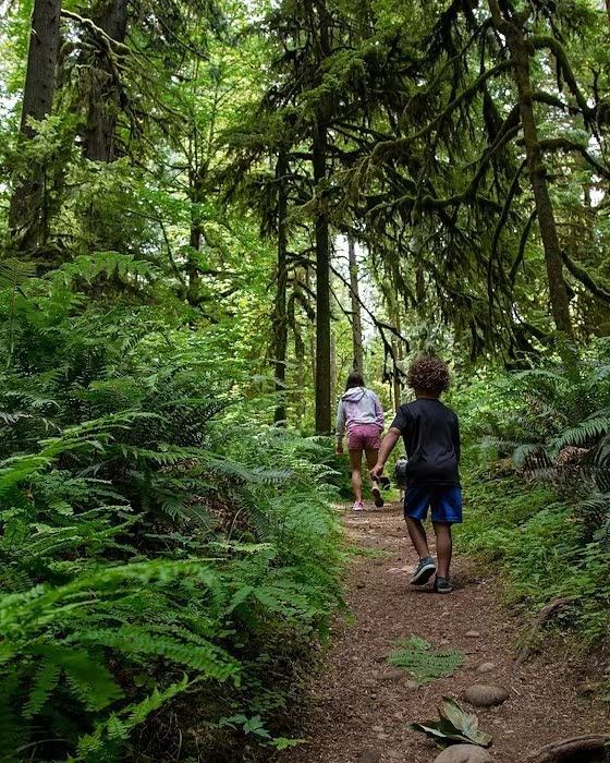 Child and person hike on a trail in a lush, green forest.