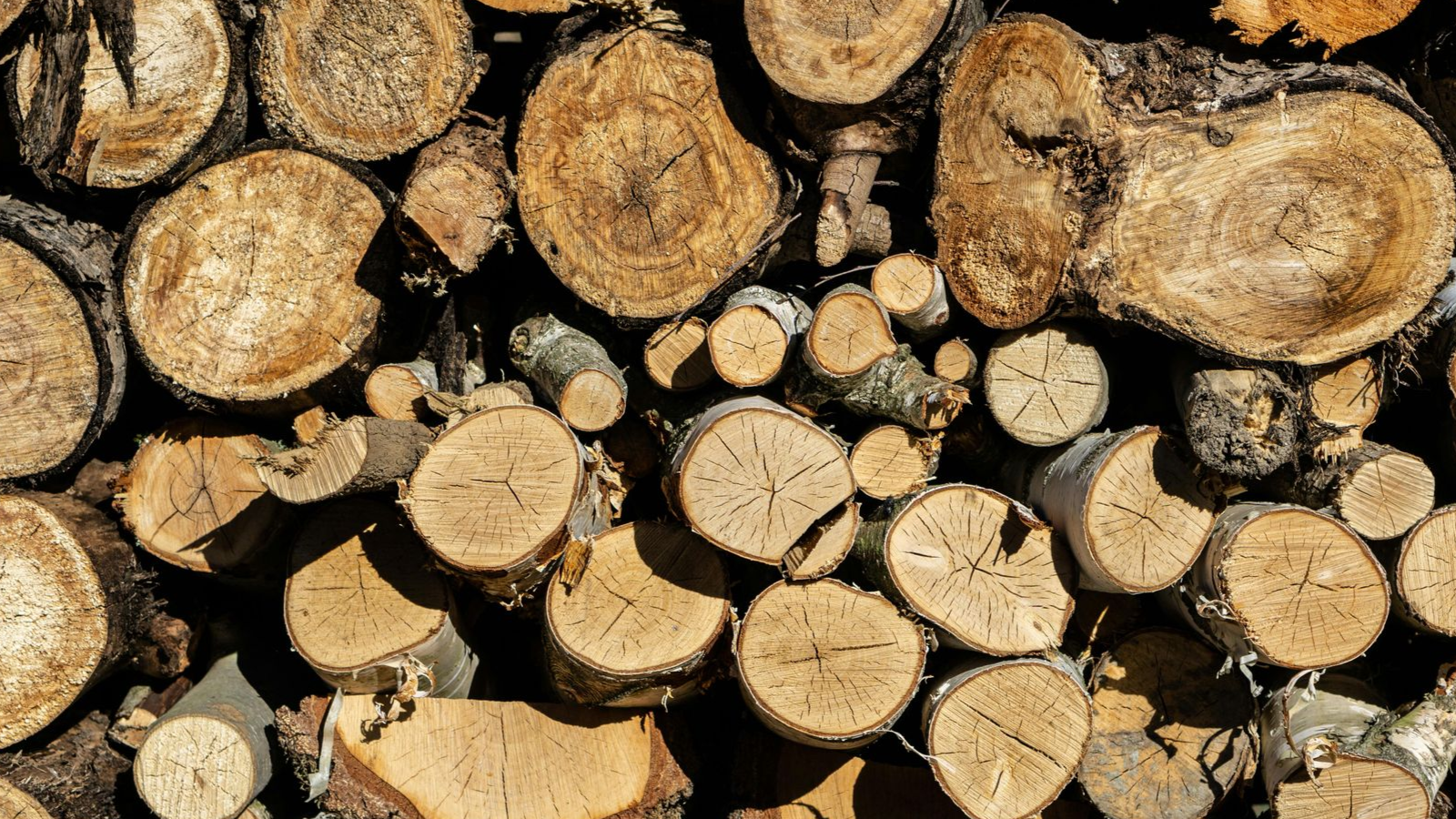 Stacked cut logs with visible round ends, showing brown wood and bark textures.