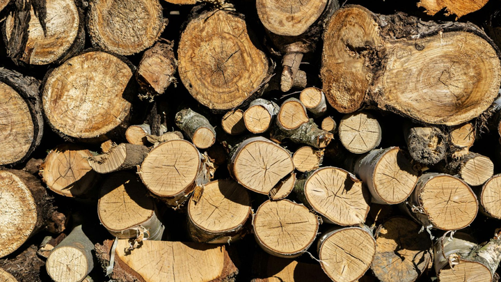 Stacked cut logs with visible round ends, showing brown wood and bark textures.