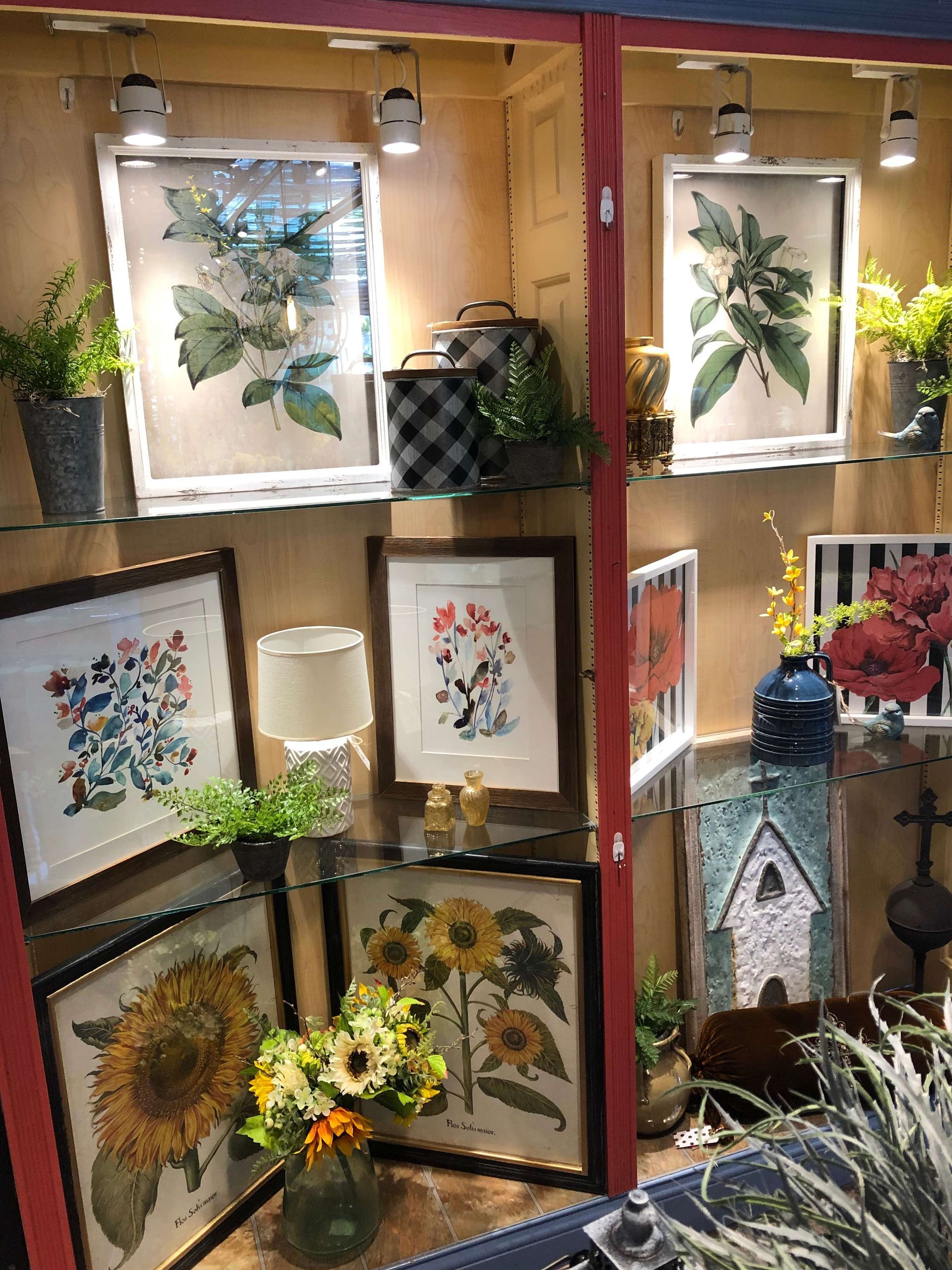 Framed botanical prints and art displayed on shelves in a warmly lit shop