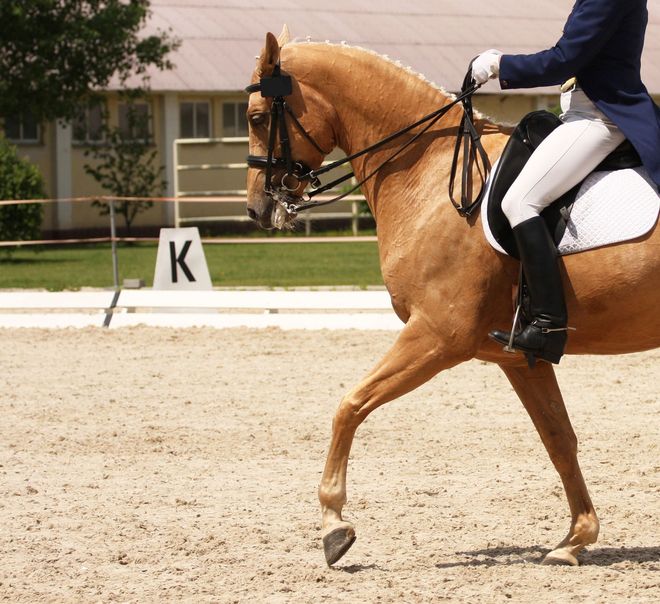 Un cavallo palomino in dressage, montato da una persona in abito formale, si esibisce in un'arena di sabbia.