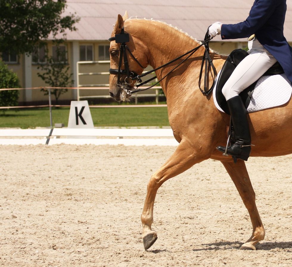 Un cavallo palomino in dressage, montato da una persona in abito formale, si esibisce in un'arena di sabbia.