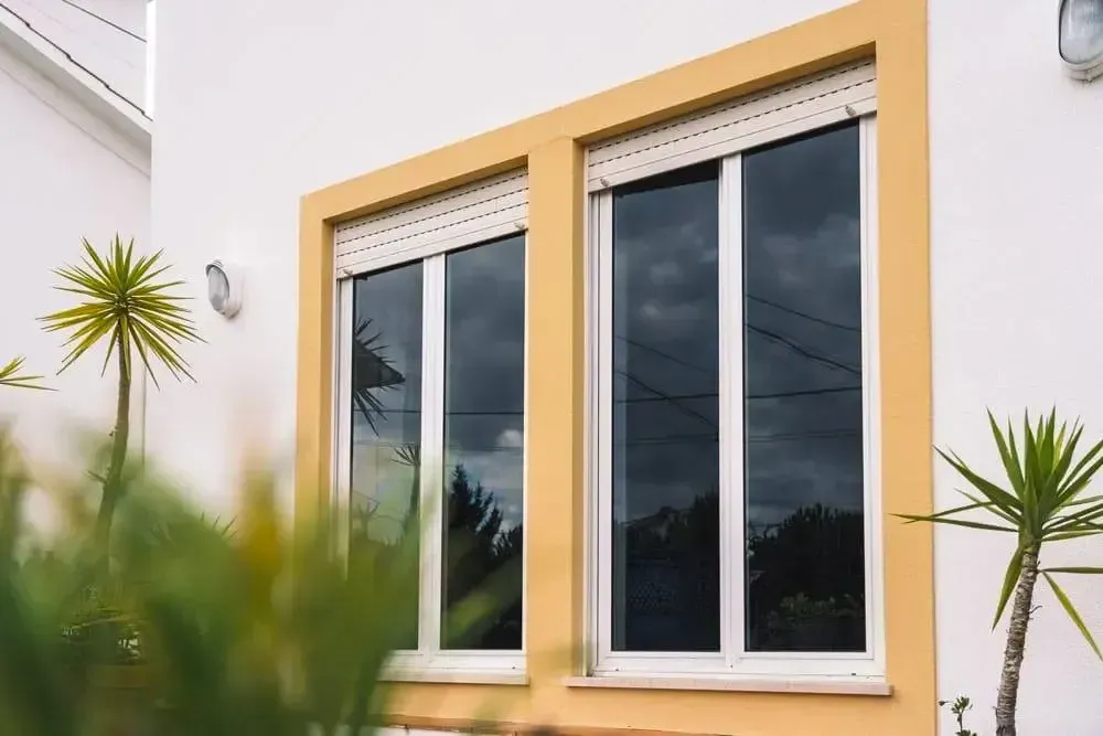 A house with two windows and a palm tree in front of it.