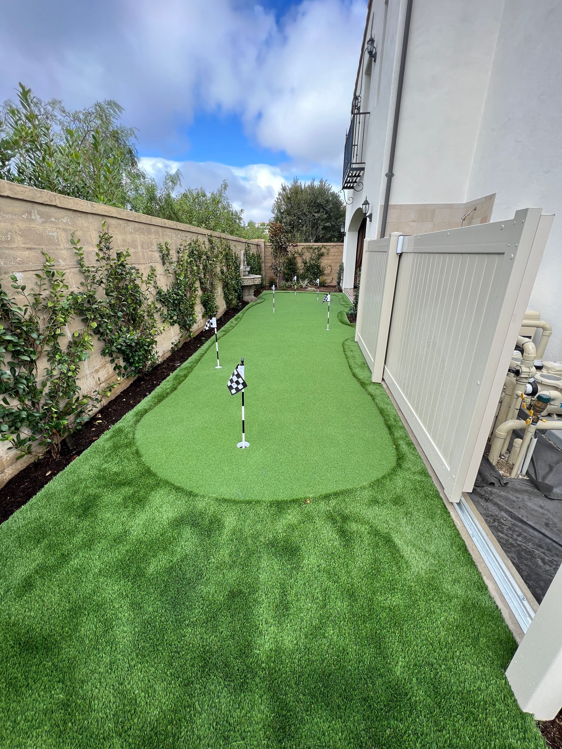 small dogs on pet turf