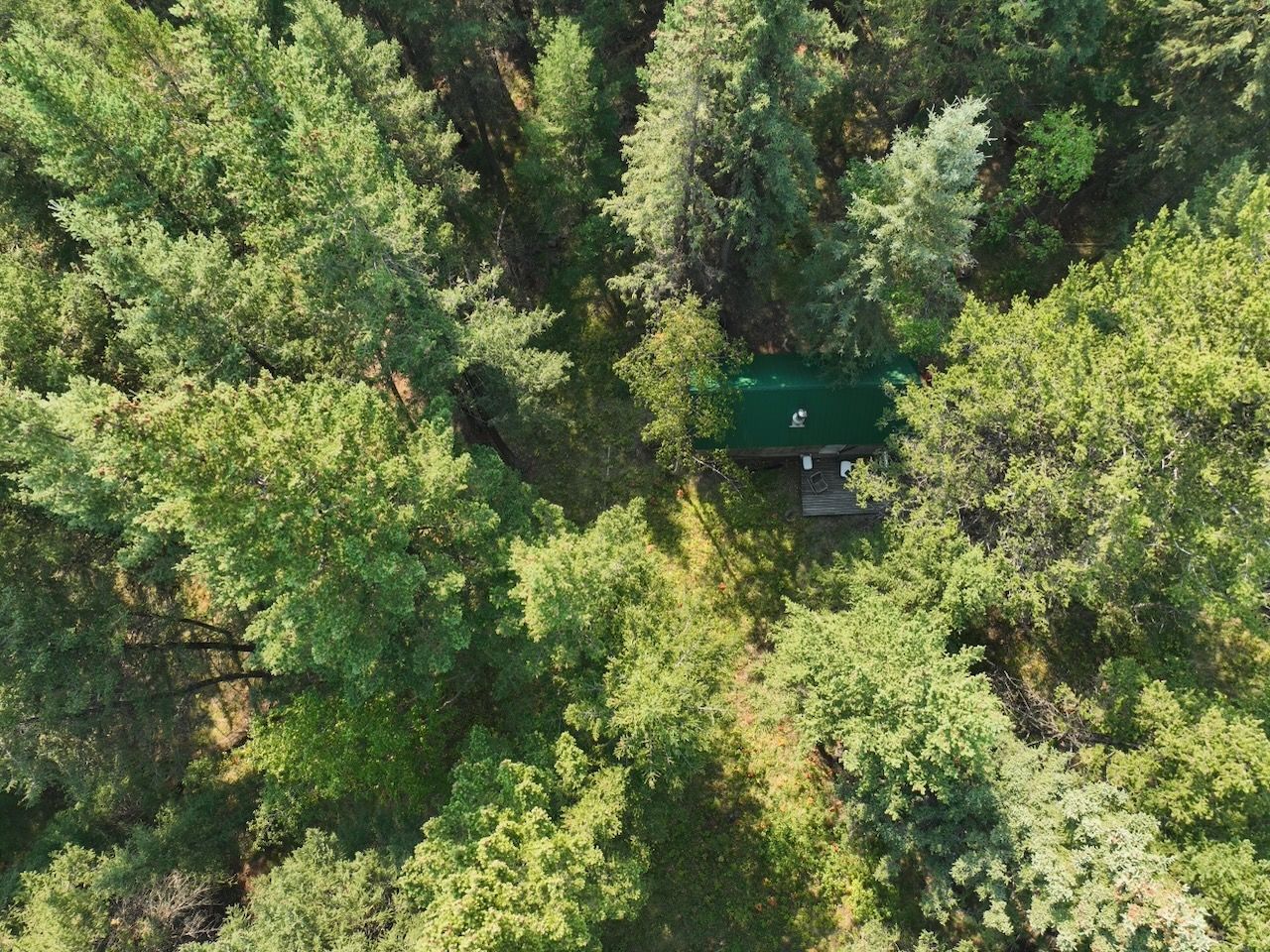 Aerial image from a drone of a small cabin in a conifer forest
