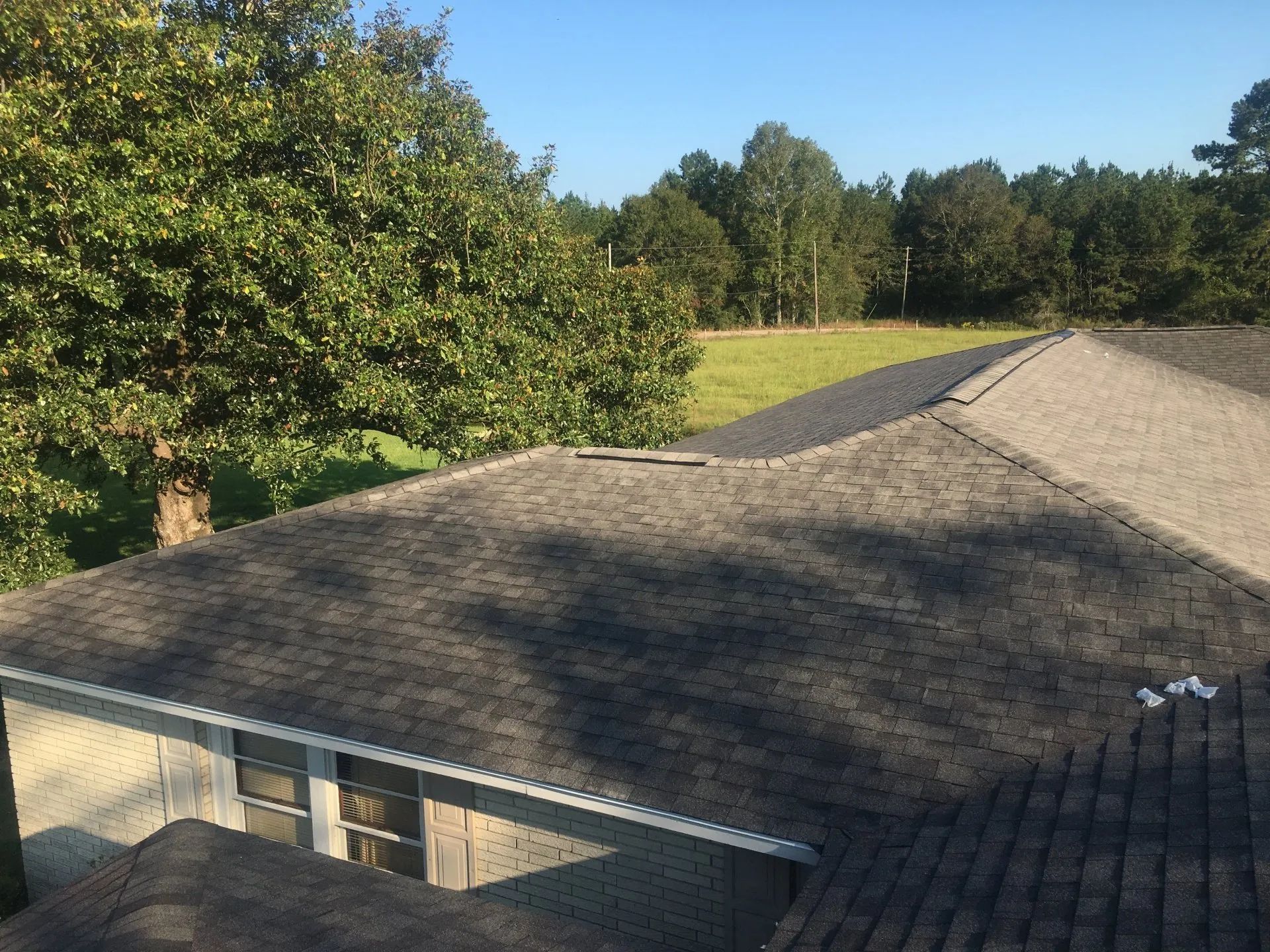 Rooftops beside a green tree-lined field under a clear blue sky