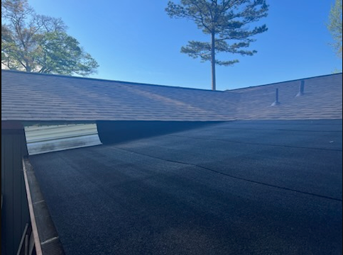 Dark rooftop with a blue sky and tall trees in the background; a white vent sits on the left.