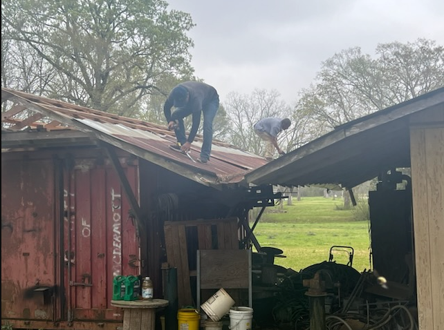 Two workers on a red roof repairing a rustic shed in a grassy yard