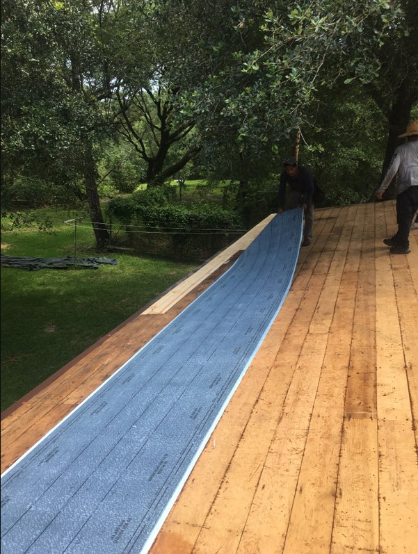 Wooden park ramp with a blue center strip, sloping through trees, with two people nearby