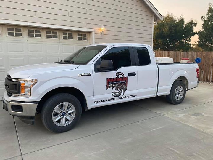 Maximum Pest Control Car — Maxwell, CA — Maximum Pest Control