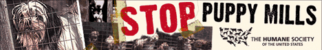 Poster: 