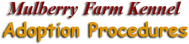 Mulberry Farm Kennel Adoption Procedures text, in red and yellow colors.