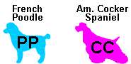 Two dog silhouettes: a blue poodle (PP) and a pink American Cocker Spaniel (CC).