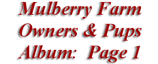 Mulberry Farm Owners & Pups Album: Page 1, maroon text on a white background.