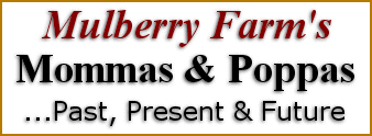 Mulberry Farm's logo: text in red and black, 