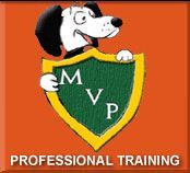 Dog holding green shield with 