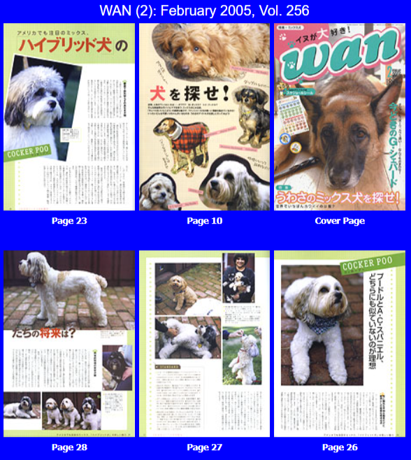 Magazine pages featuring different dogs. Text in Japanese.