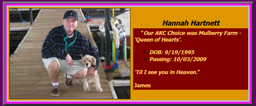 Man kneeling with dog on dock, beside a memorial text block for Hannah Hartnett: dates and quote.