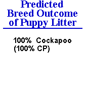 Prediction of a puppy litter being 100% Cockapoo breed.