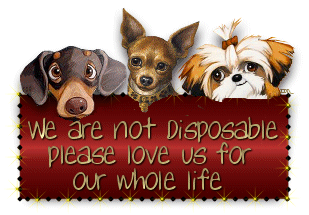Three dogs holding a sign that says 